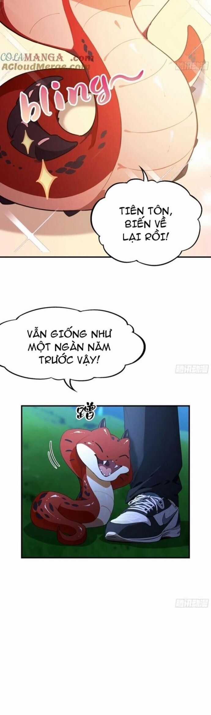 Quá Ảo! Ta Mở Lớp Đào Tạo Nữ Đế Chapter 69 trang 33