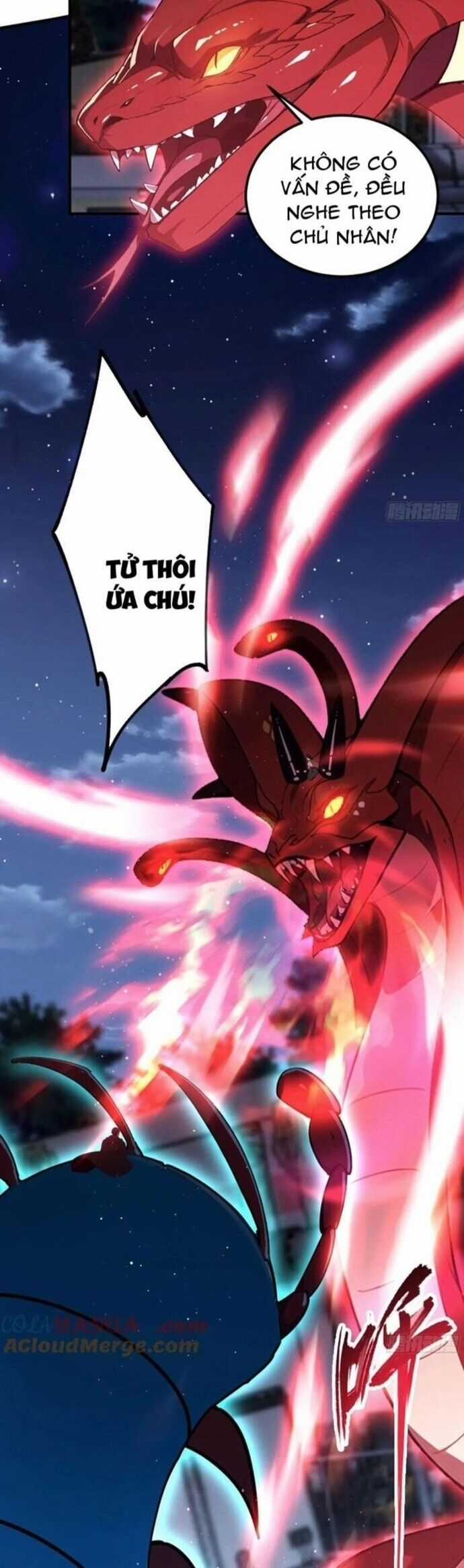 Quá Ảo! Ta Mở Lớp Đào Tạo Nữ Đế Chapter 72 trang 16