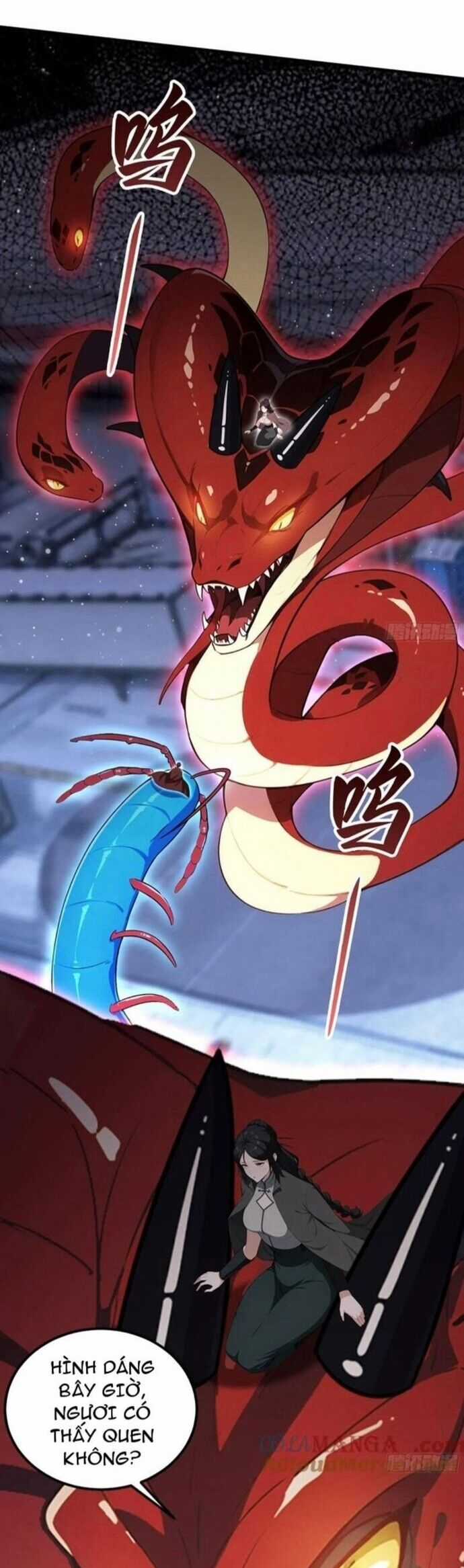 Quá Ảo! Ta Mở Lớp Đào Tạo Nữ Đế Chapter 72 trang 6