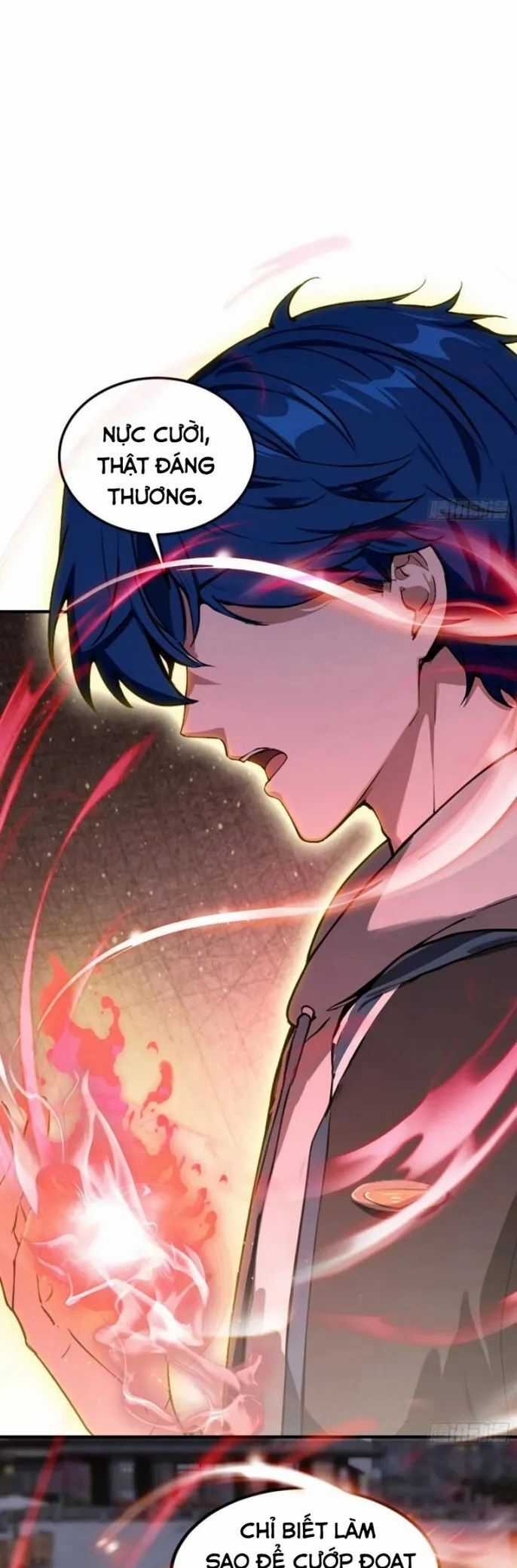 Quá Ảo! Ta Mở Lớp Đào Tạo Nữ Đế Chapter 79 trang 10