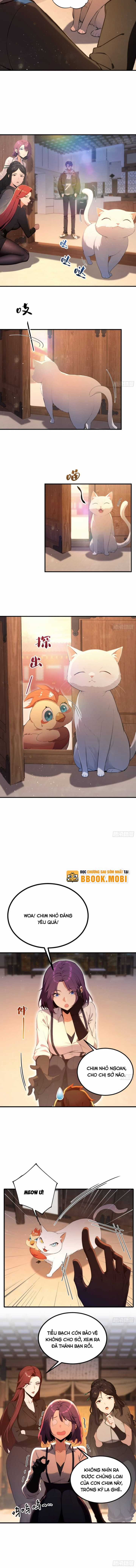 Quá Ảo! Ta Mở Lớp Đào Tạo Nữ Đế Chapter 8 trang 2