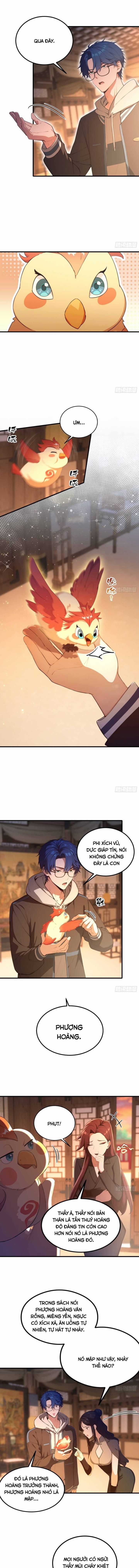 Quá Ảo! Ta Mở Lớp Đào Tạo Nữ Đế Chapter 8 trang 3