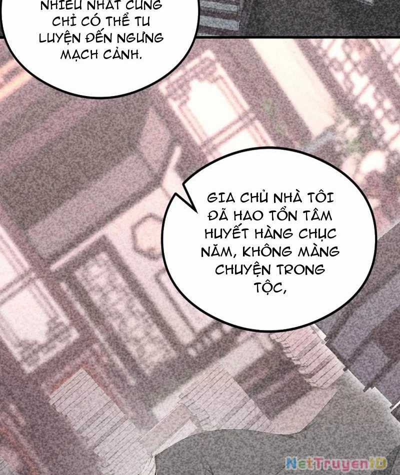 Quá Ảo! Ta Mở Lớp Đào Tạo Nữ Đế Chapter 82 trang 50