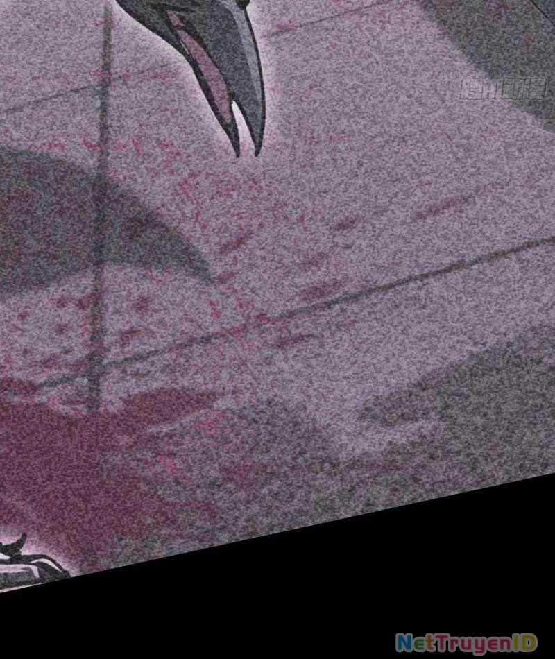 Quá Ảo! Ta Mở Lớp Đào Tạo Nữ Đế Chapter 82 trang 6