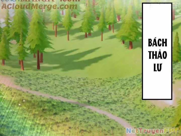 Quá Ảo! Ta Mở Lớp Đào Tạo Nữ Đế Chapter 83 trang 70