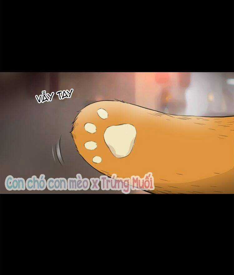 Quả Bóng Màu Vàng Chapter 12 trang 2