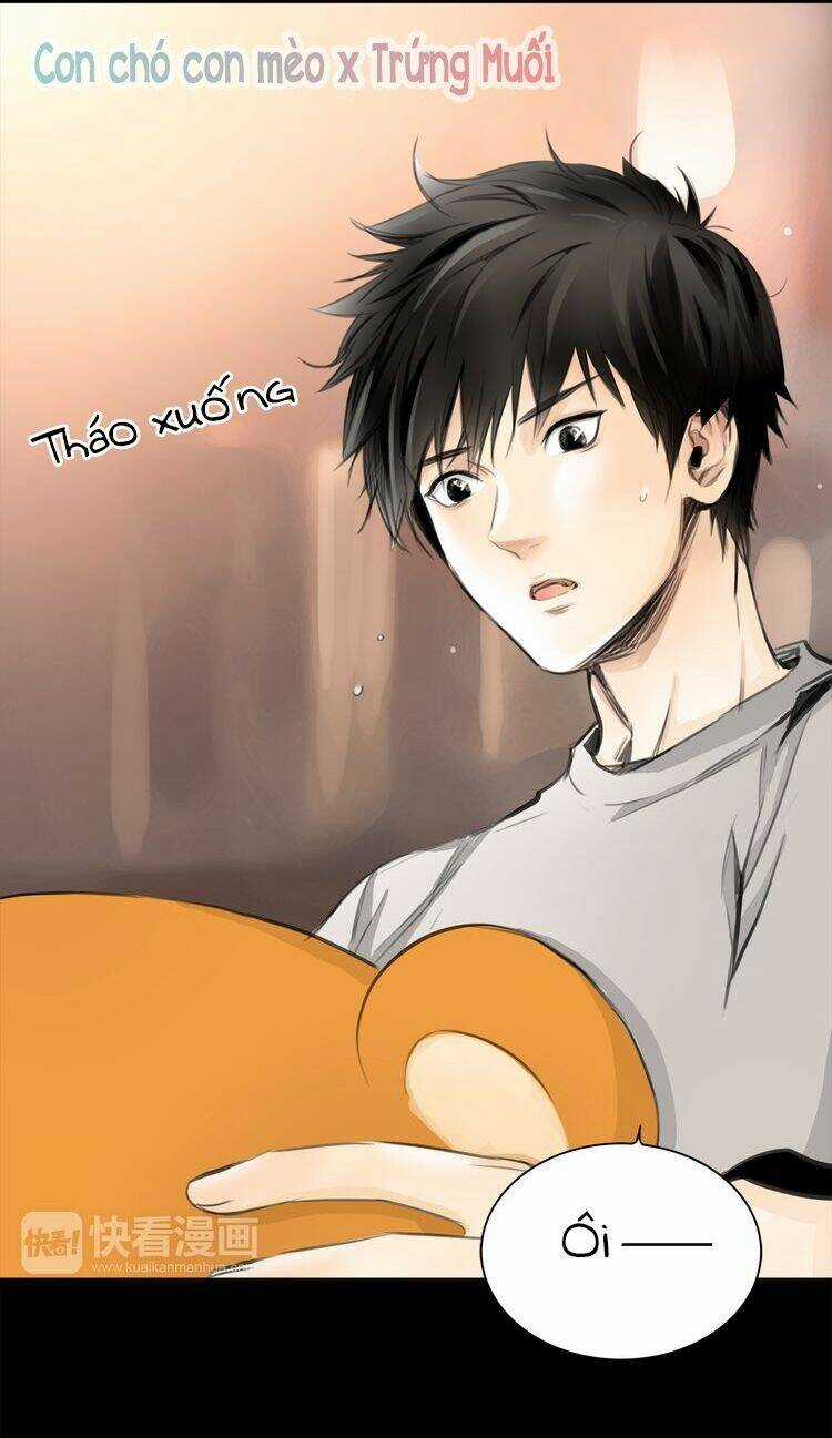 Quả Bóng Màu Vàng Chapter 12 trang 5