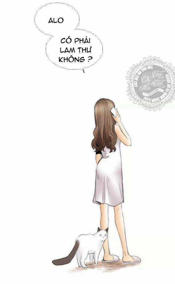 Quả Bóng Màu Vàng Chapter 18 trang 15