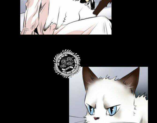 Quả Bóng Màu Vàng Chapter 9 trang 48