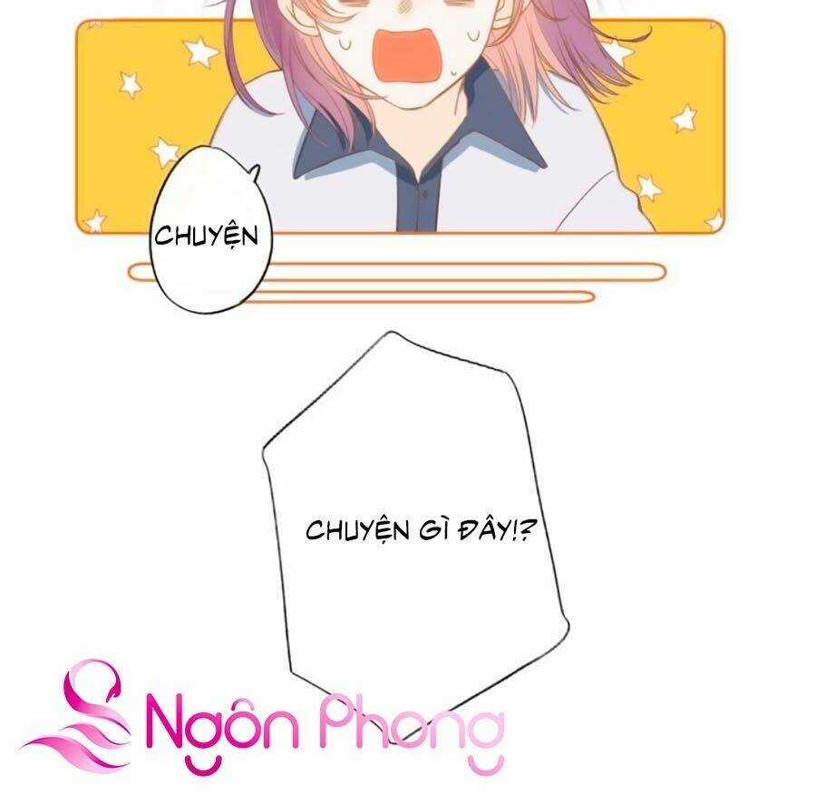 Quả Táo Của Anh Chapter 1.1 trang 24