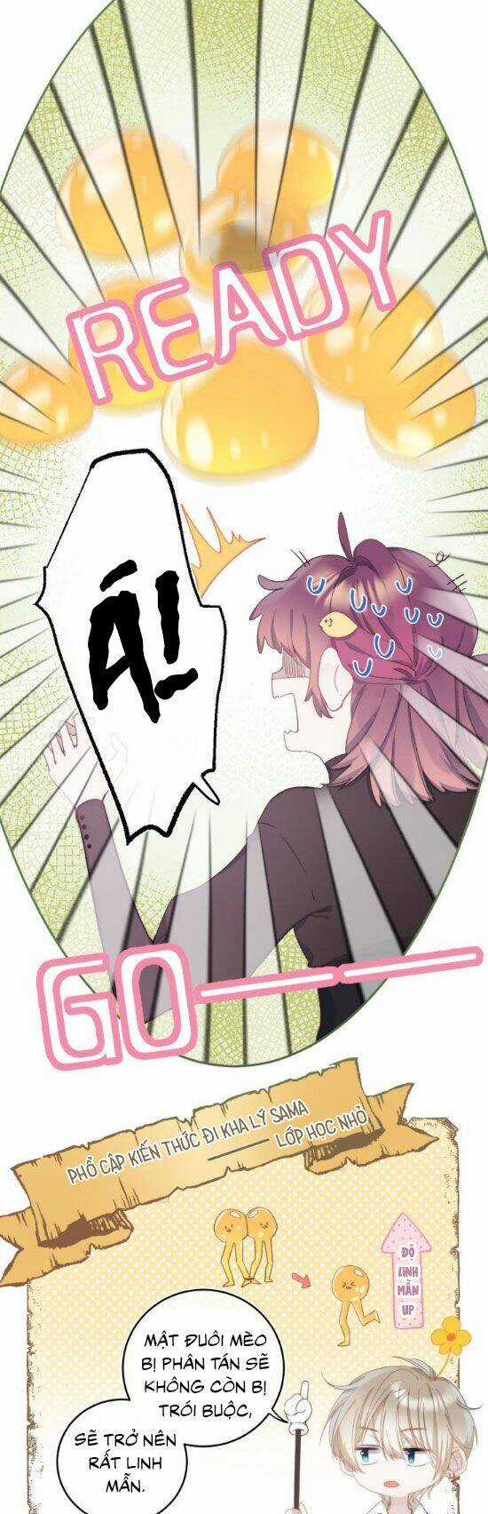 Quả Táo Của Anh Chapter 11 trang 12