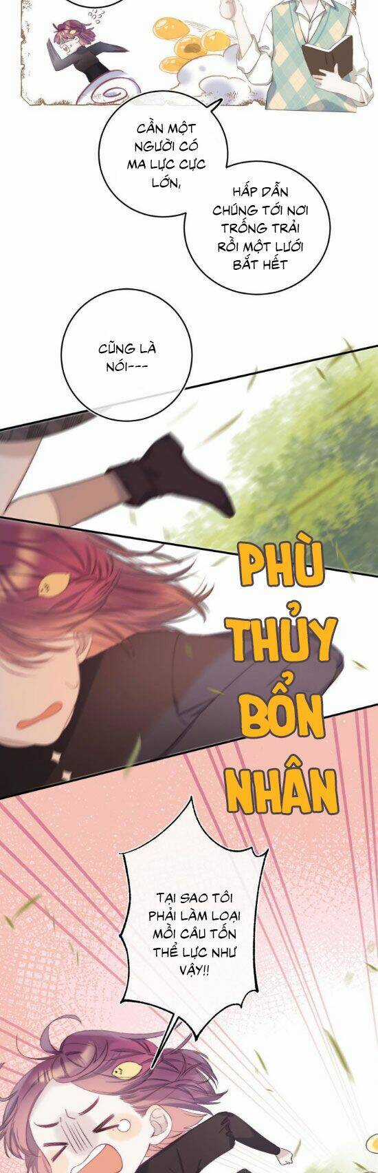 Quả Táo Của Anh Chapter 11 trang 13