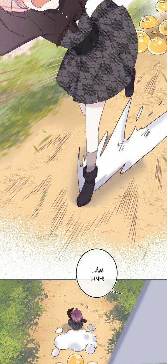 Quả Táo Của Anh Chapter 11 trang 14