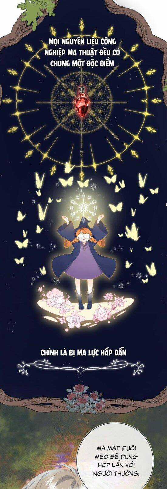 Quả Táo Của Anh Chapter 11 trang 2