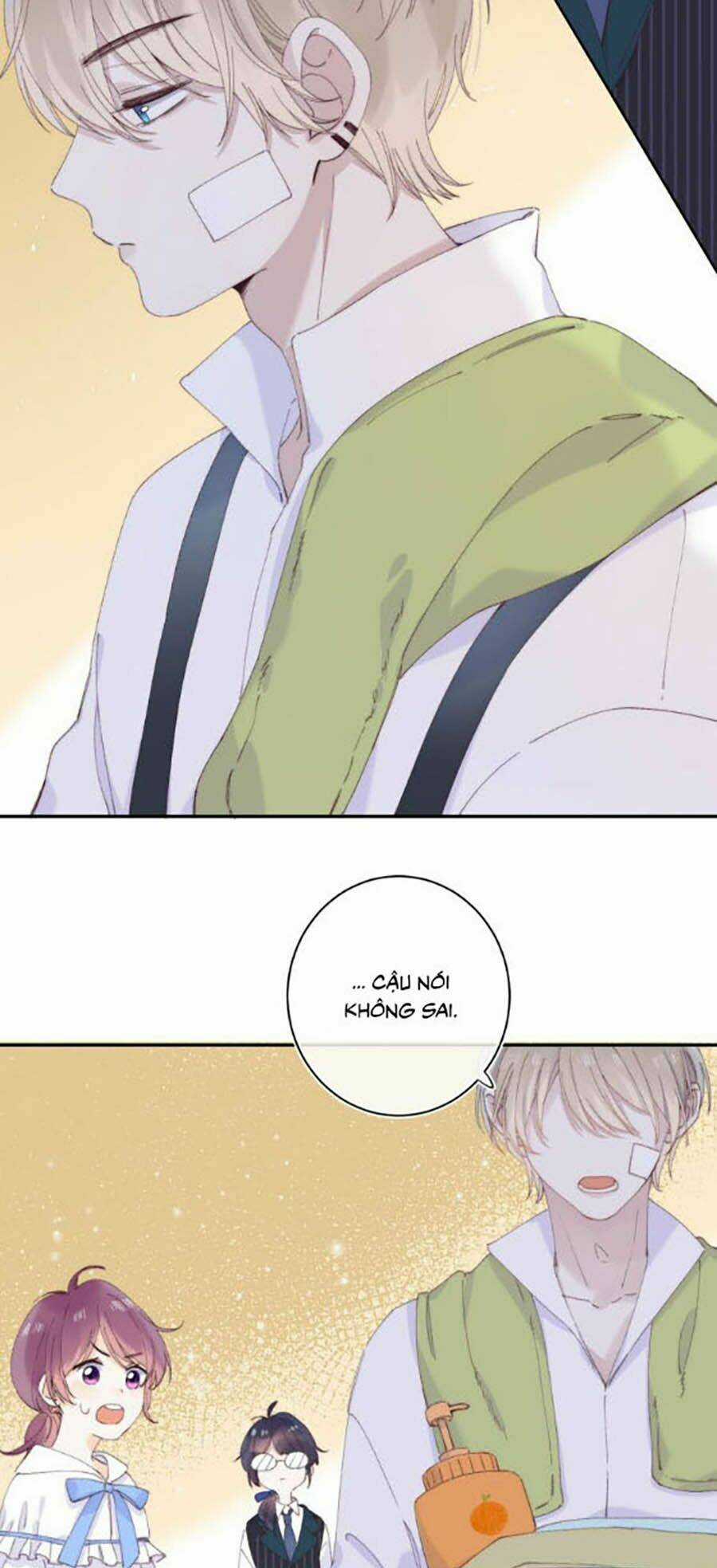 Quả Táo Của Anh Chapter 14 trang 12