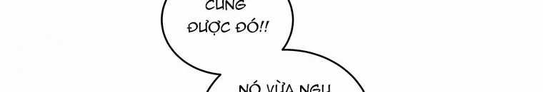 Quái Thú Bị Thuần Hóa Bởi Ác Nữ Chapter 11 trang 33