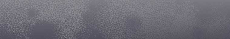 Quái Thú Bị Thuần Hóa Bởi Ác Nữ Chapter 11 trang 55