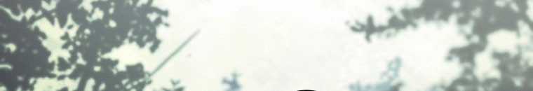 Quái Thú Bị Thuần Hóa Bởi Ác Nữ Chapter 11 trang 99