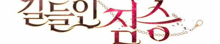 Quái Thú Bị Thuần Hóa Bởi Ác Nữ Chapter 12 trang 100