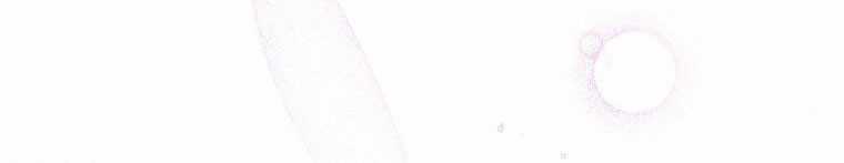 Quái Thú Bị Thuần Hóa Bởi Ác Nữ Chapter 12 trang 246