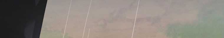 Quái Thú Bị Thuần Hóa Bởi Ác Nữ Chapter 13 trang 136