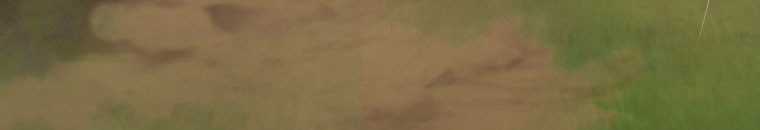 Quái Thú Bị Thuần Hóa Bởi Ác Nữ Chapter 13 trang 141