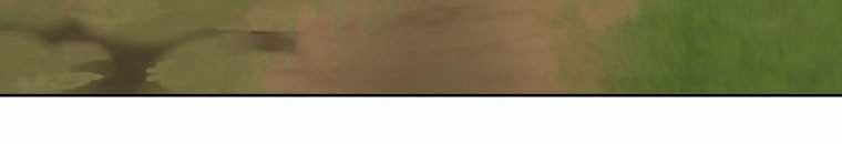 Quái Thú Bị Thuần Hóa Bởi Ác Nữ Chapter 13 trang 142