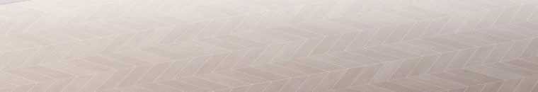 Quái Thú Bị Thuần Hóa Bởi Ác Nữ Chapter 13 trang 18