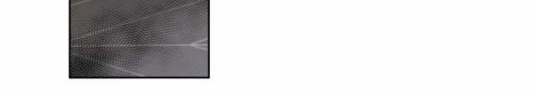 Quái Thú Bị Thuần Hóa Bởi Ác Nữ Chapter 13 trang 95