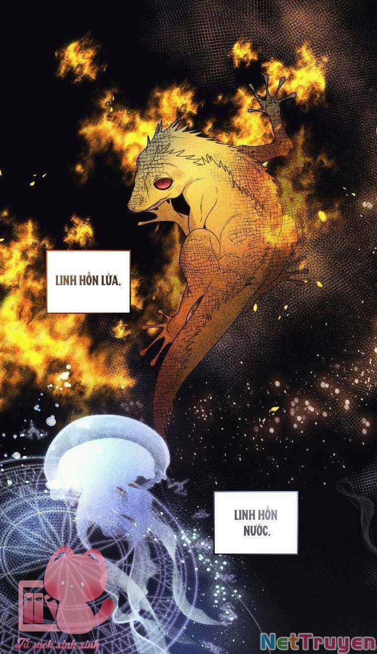 Quái Thú Bị Thuần Hóa Bởi Ác Nữ Chapter 35 trang 59