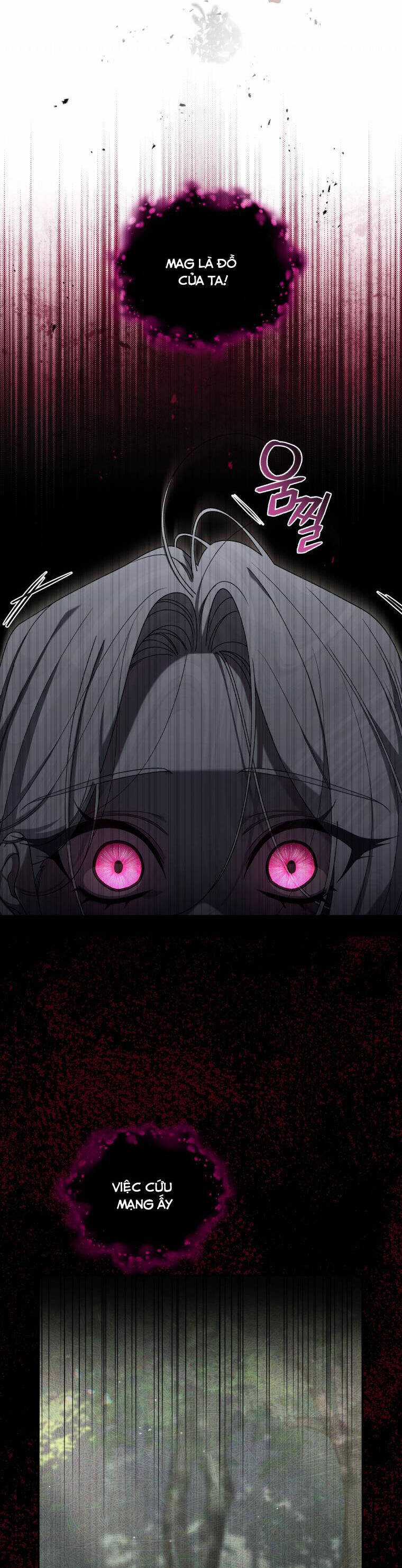 Quái Thú Bị Thuần Hóa Bởi Ác Nữ Chapter 45 trang 31