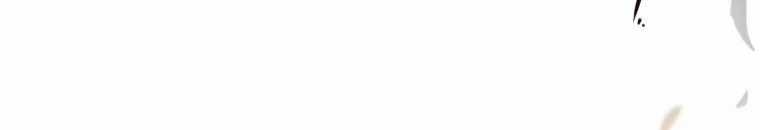 Quái Thú Bị Thuần Hóa Bởi Ác Nữ Chapter 9 trang 24