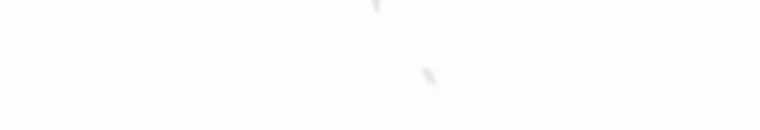 Quái Thú Bị Thuần Hóa Bởi Ác Nữ Chapter 9 trang 49