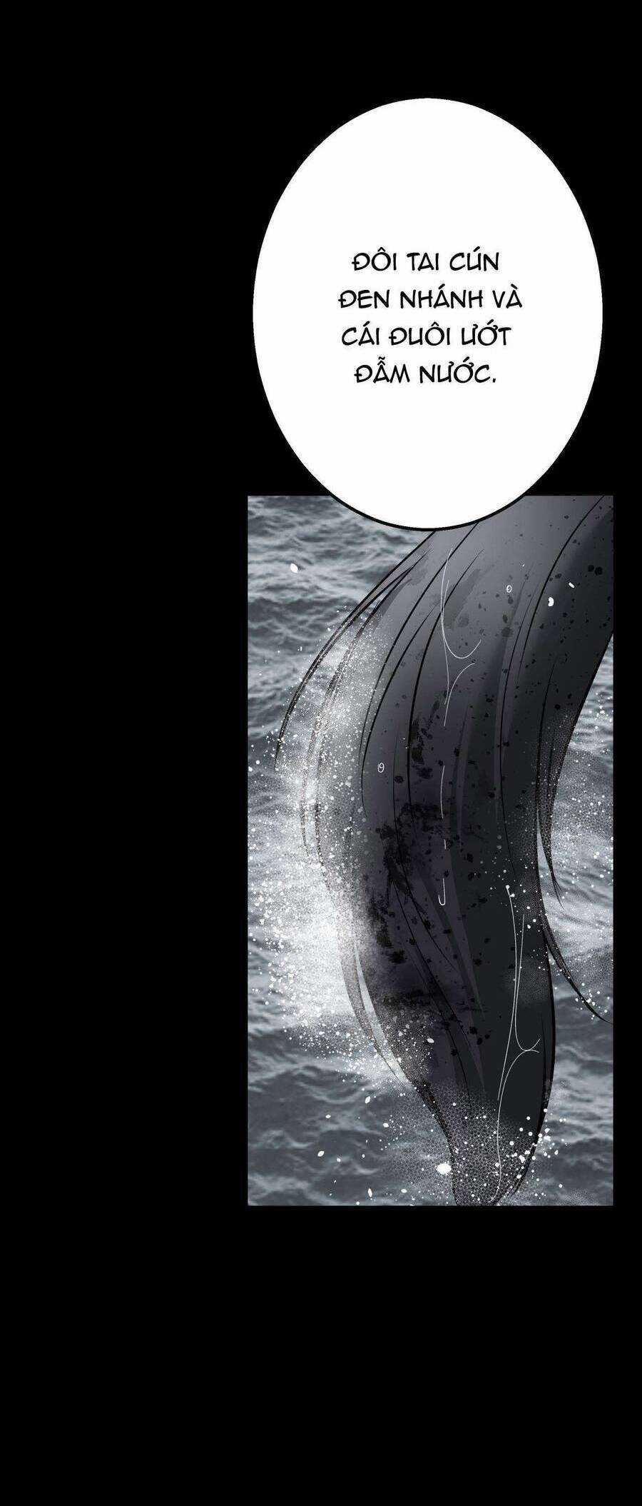 Quái Thú Chapter 28 trang 40