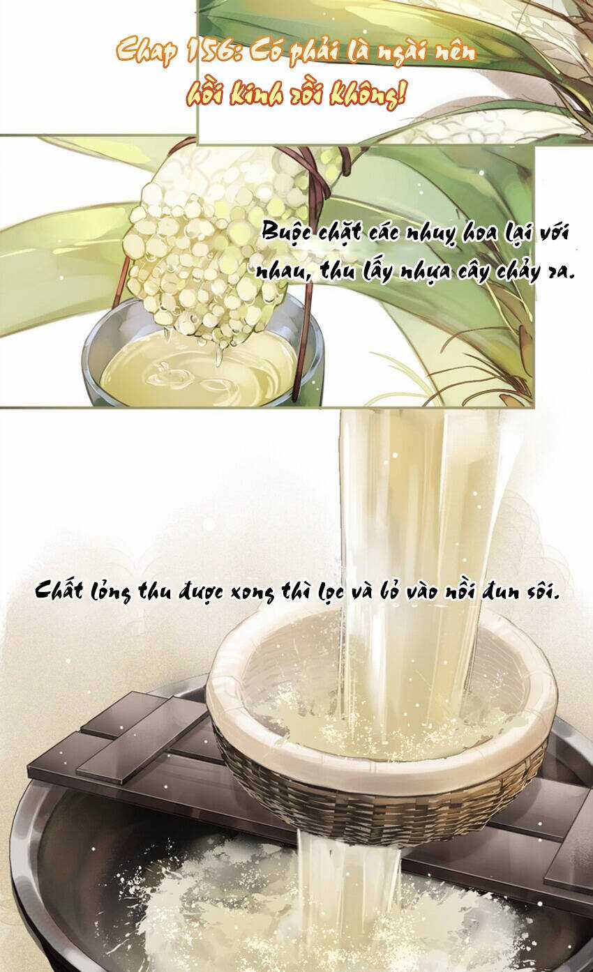 Quận Chúa Bất Tư Gia Chapter 156 trang 2