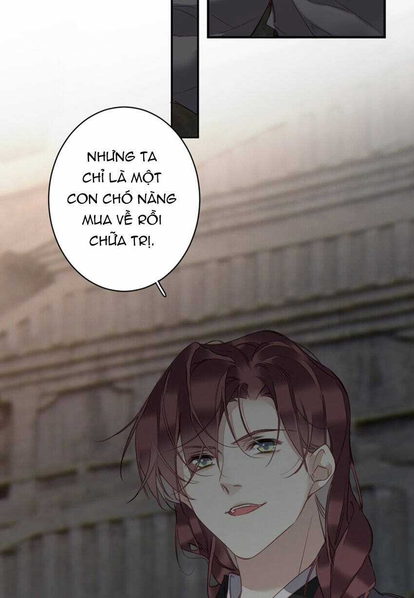 Quận Chúa Bất Tư Gia Chapter 159 trang 15