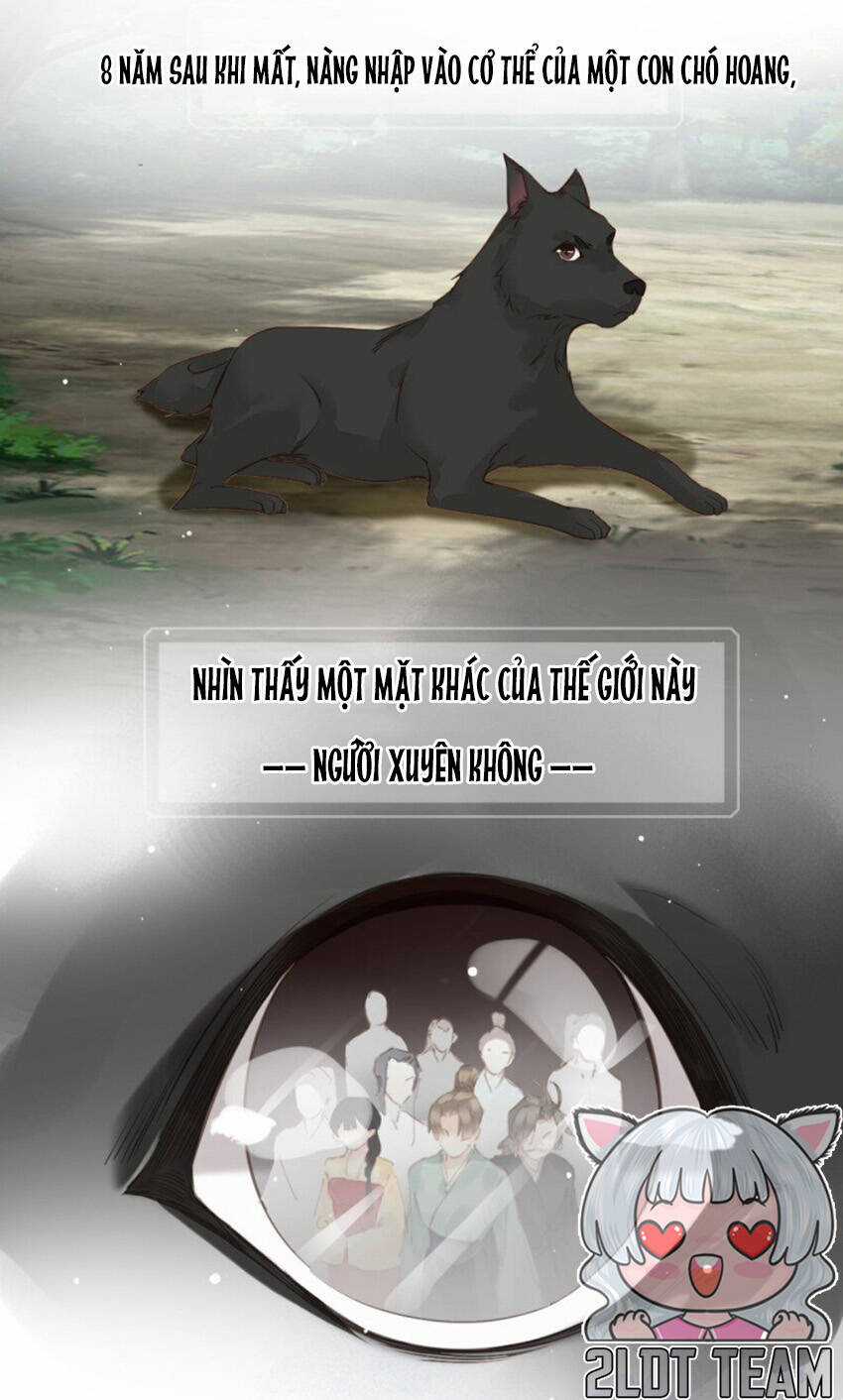 Quận Chúa Bất Tư Gia Chapter 174 trang 6