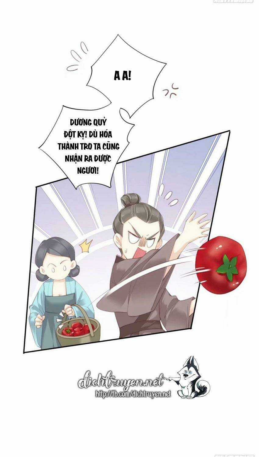 Quận Chúa Bất Tư Gia Chapter 34 trang 6