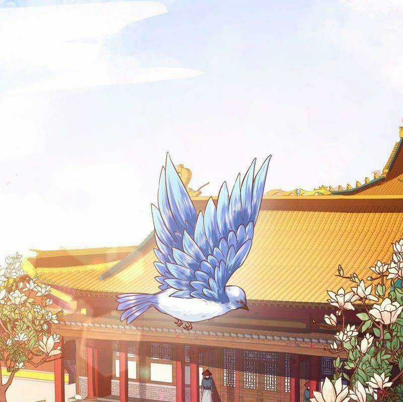 Quận Chúa Vững Vàng, Thiết Lập Nhân Vật Không Thể Vỡ Chapter 3 trang 48