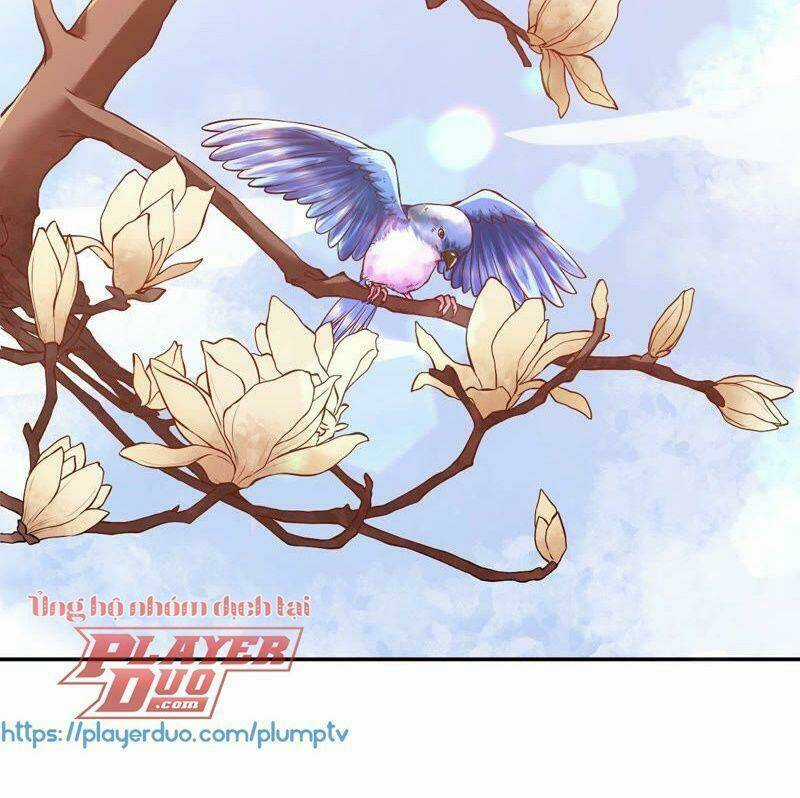 Quận Chúa Vững Vàng, Thiết Lập Nhân Vật Không Thể Vỡ Chapter 3 trang 50
