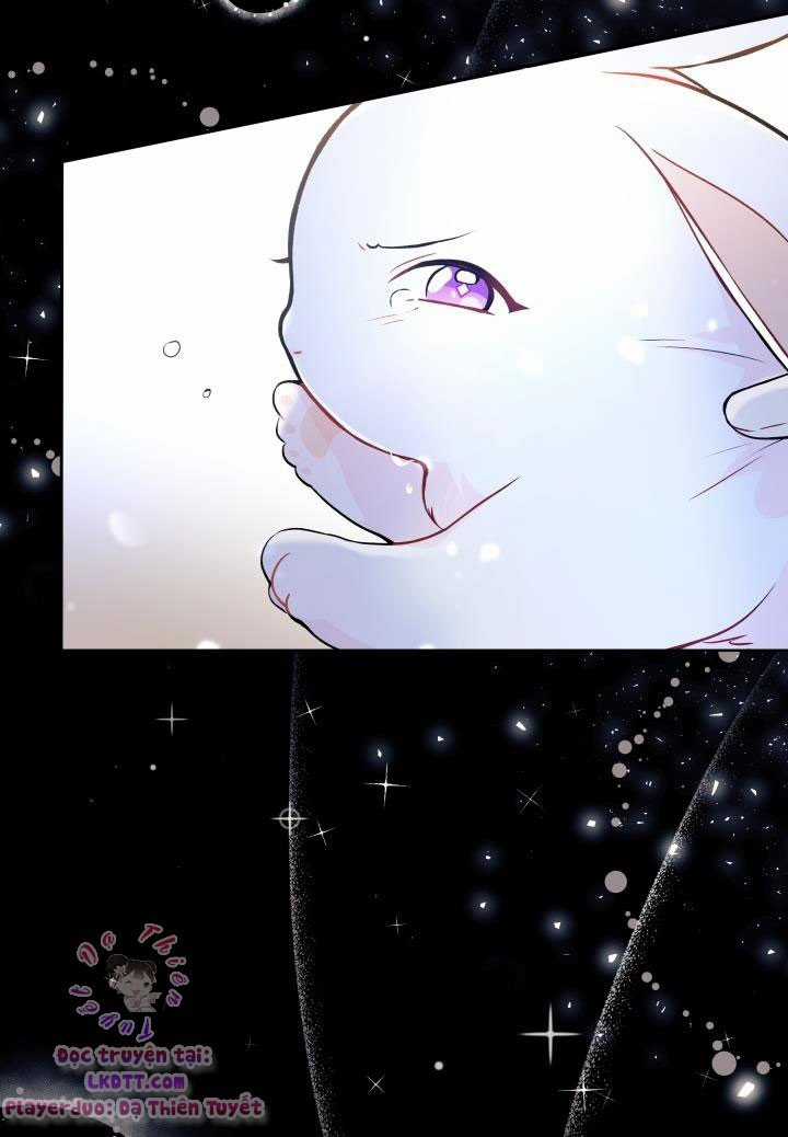 Quan Hệ Cộng Sinh Giữa Hắc Báo Và Bạch Thỏ Chapter 1 trang 29