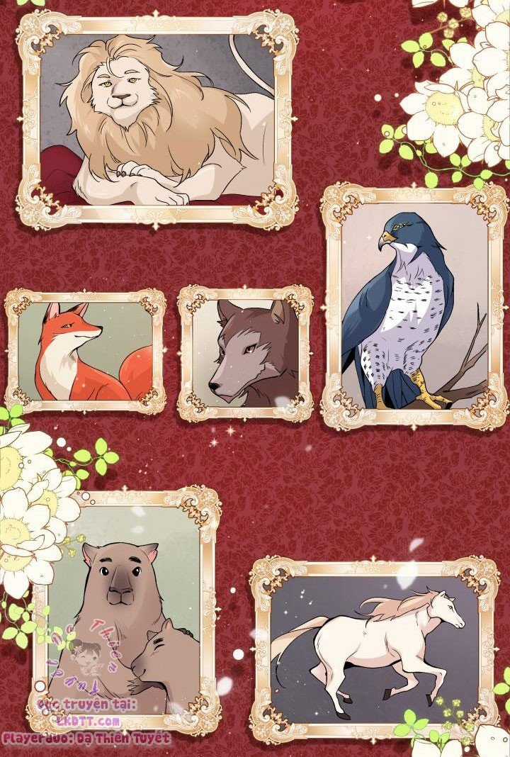 Quan Hệ Cộng Sinh Giữa Hắc Báo Và Bạch Thỏ Chapter 1 trang 45