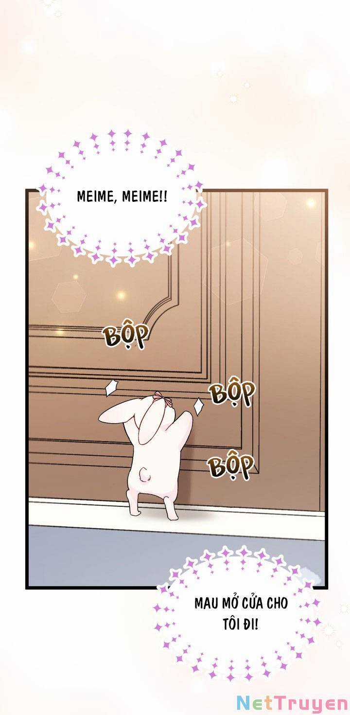 Quan Hệ Cộng Sinh Giữa Hắc Báo Và Bạch Thỏ Chapter 101 trang 14