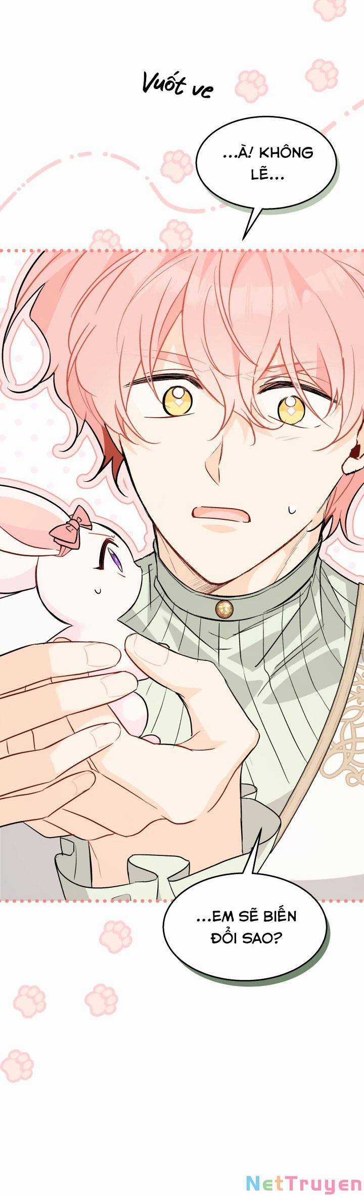 Quan Hệ Cộng Sinh Giữa Hắc Báo Và Bạch Thỏ Chapter 101 trang 17