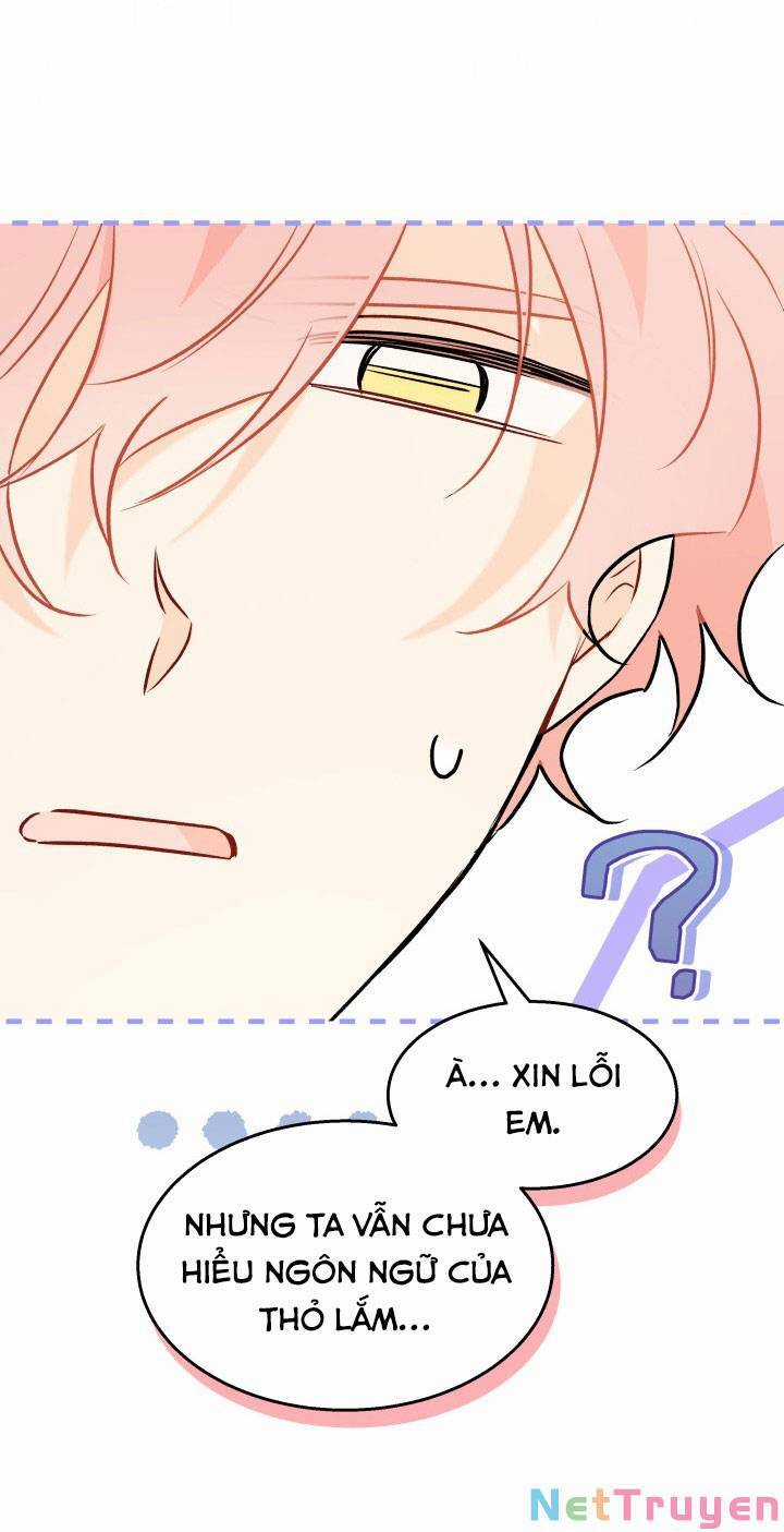 Quan Hệ Cộng Sinh Giữa Hắc Báo Và Bạch Thỏ Chapter 101 trang 21