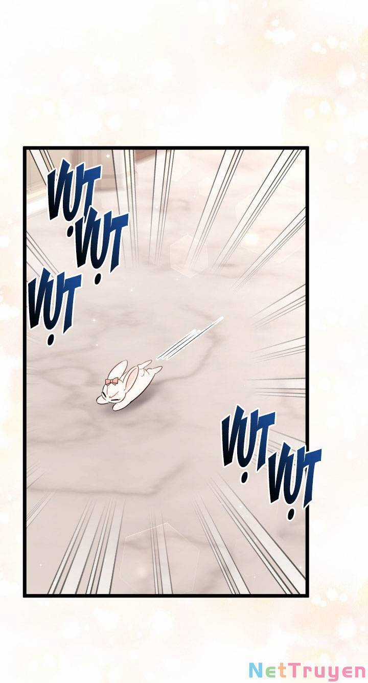 Quan Hệ Cộng Sinh Giữa Hắc Báo Và Bạch Thỏ Chapter 101 trang 35