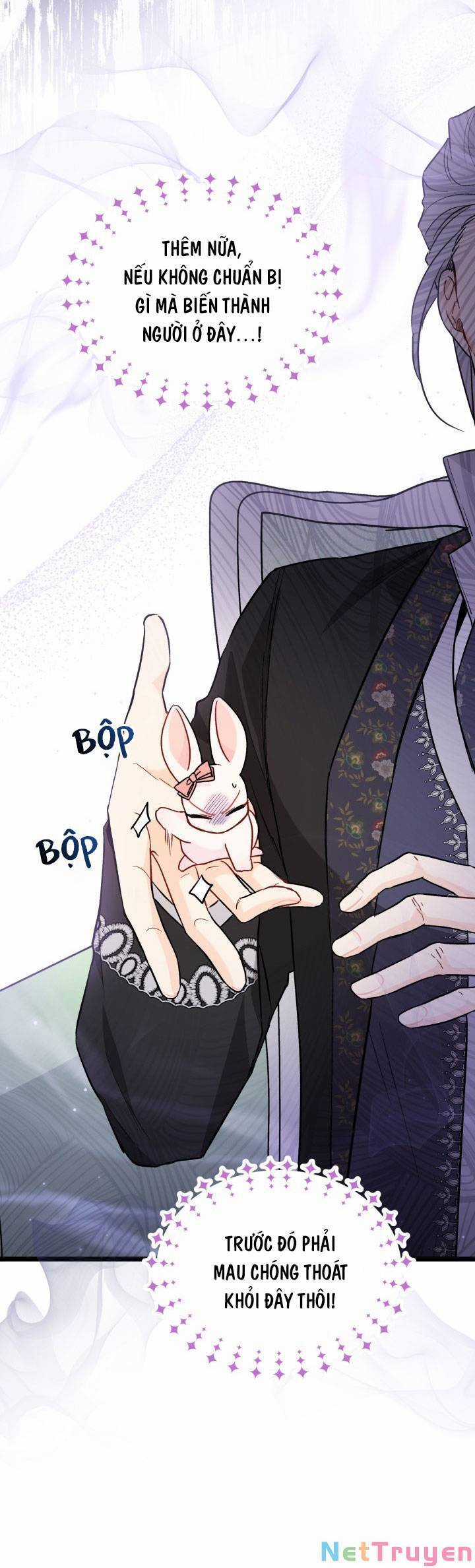 Quan Hệ Cộng Sinh Giữa Hắc Báo Và Bạch Thỏ Chapter 101 trang 4