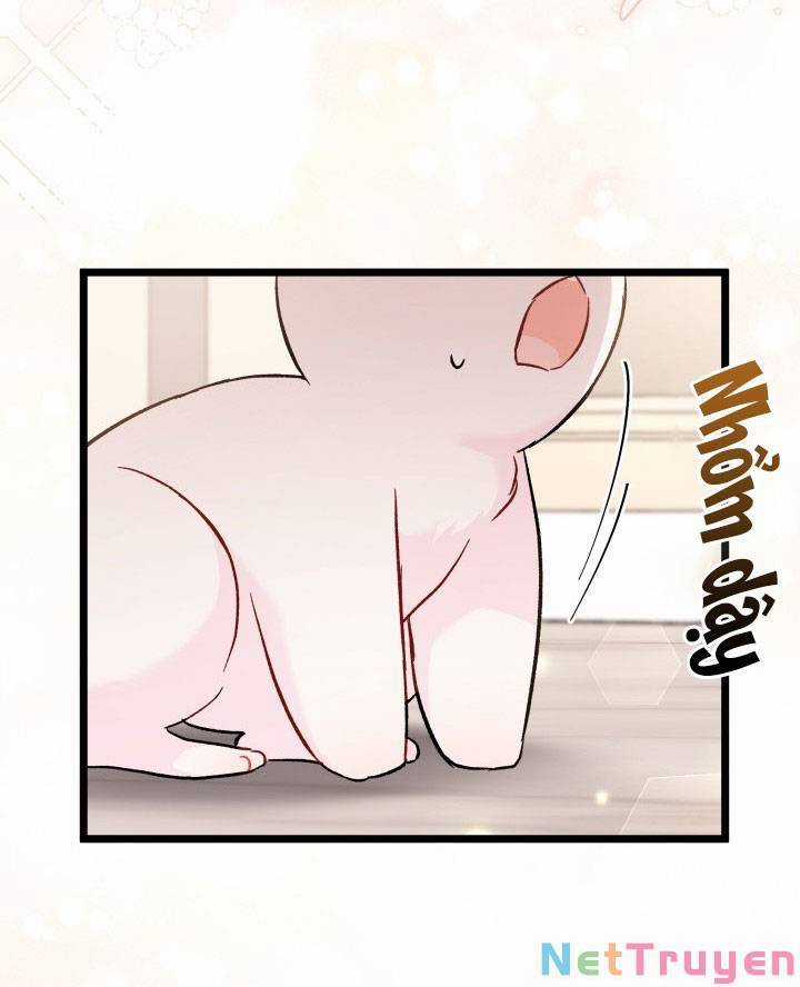 Quan Hệ Cộng Sinh Giữa Hắc Báo Và Bạch Thỏ Chapter 101 trang 47