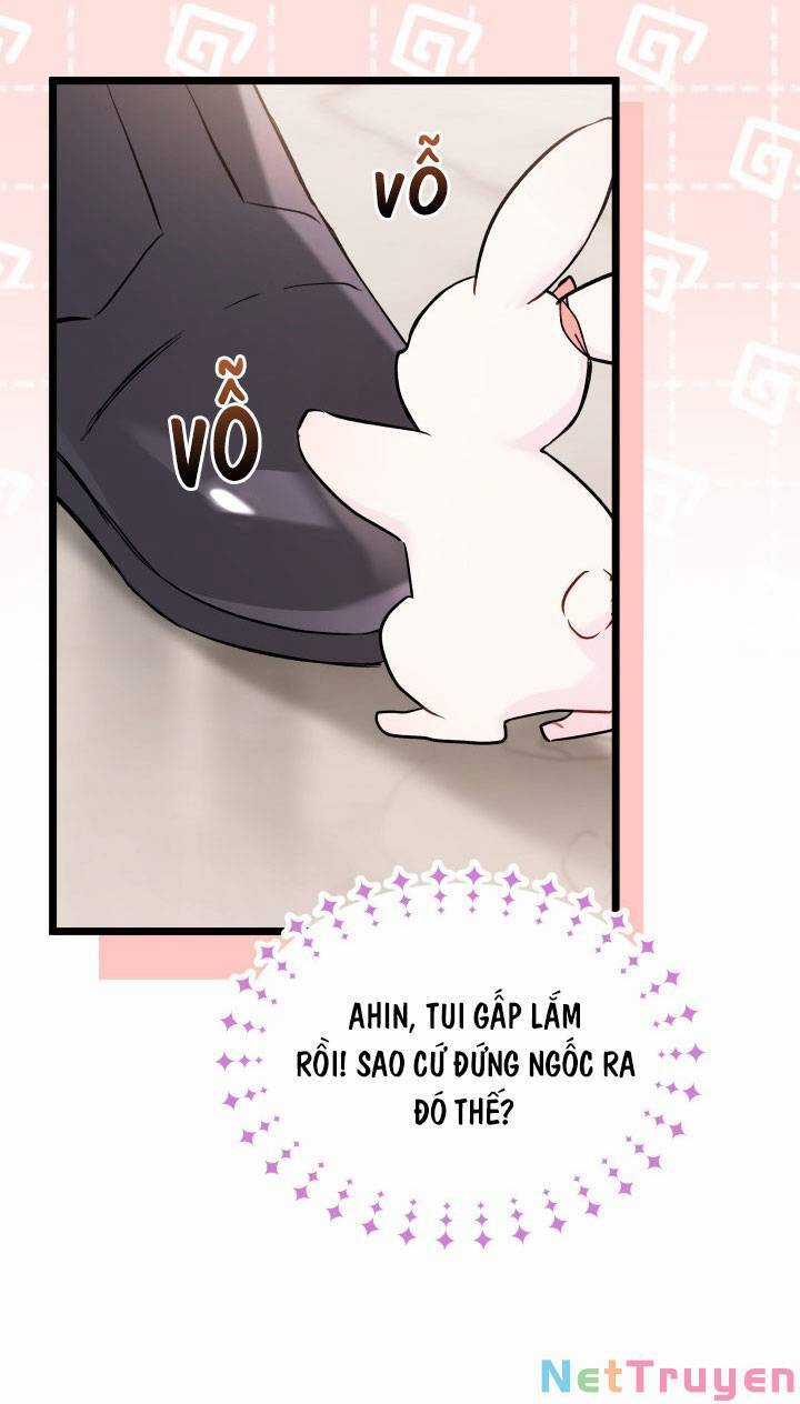 Quan Hệ Cộng Sinh Giữa Hắc Báo Và Bạch Thỏ Chapter 101 trang 52