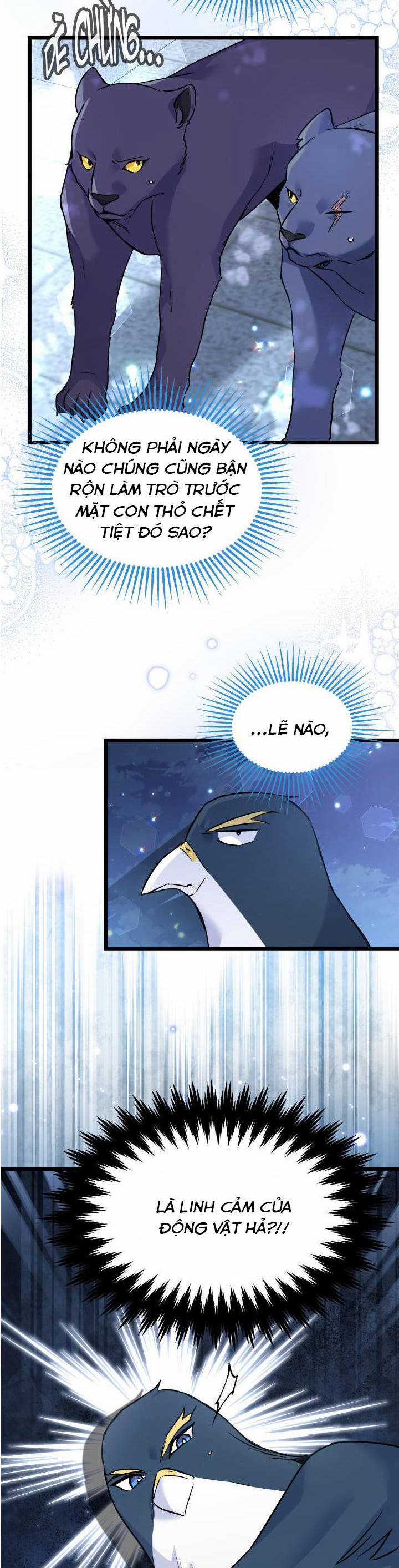 Quan Hệ Cộng Sinh Giữa Hắc Báo Và Bạch Thỏ Chapter 112 trang 12